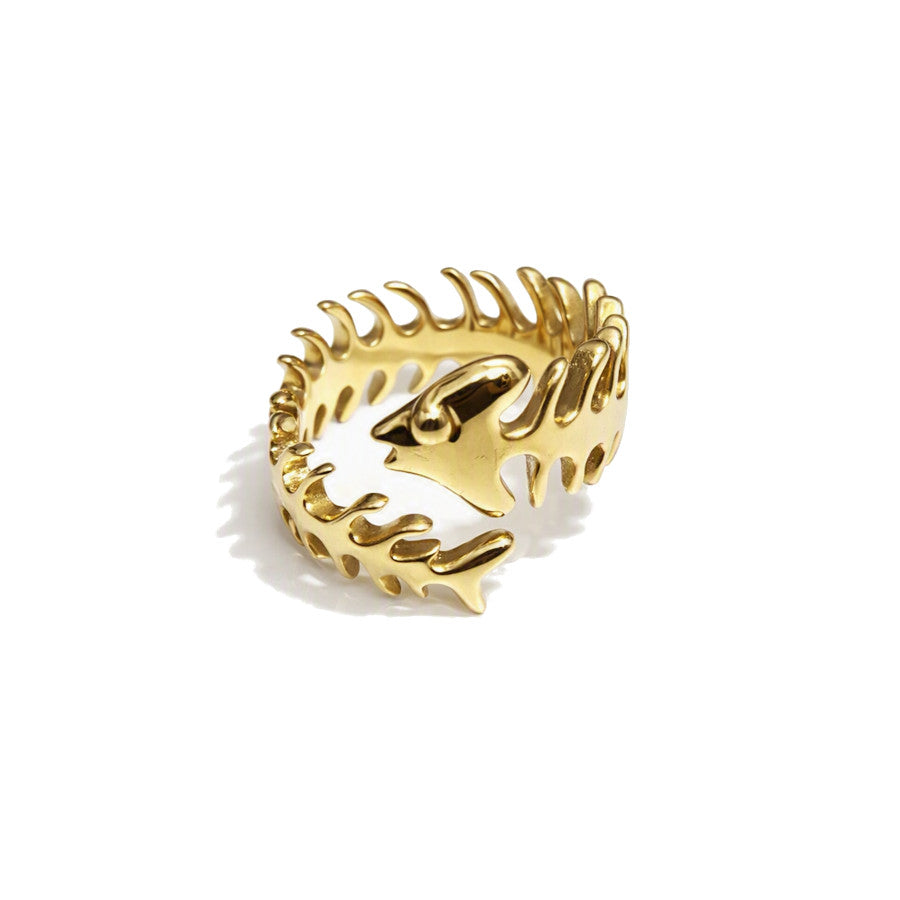 Anillo Rennes