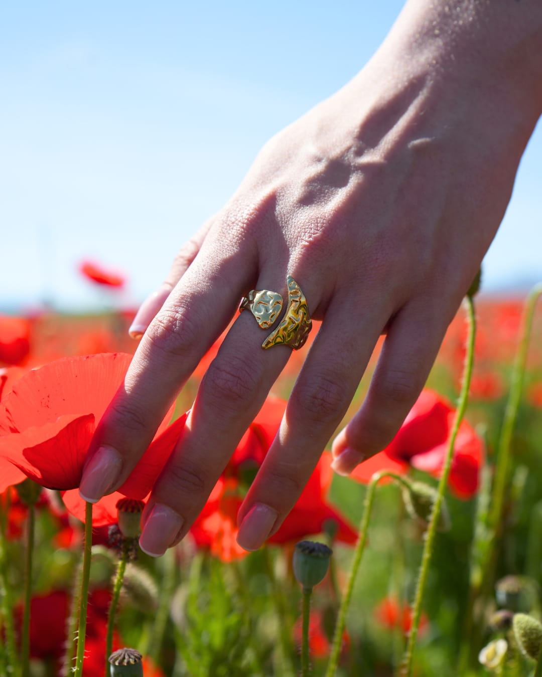 Anillo Pakistán
