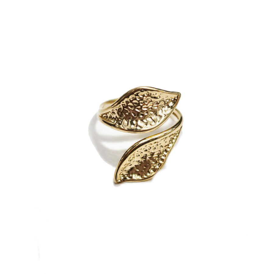 Anillos