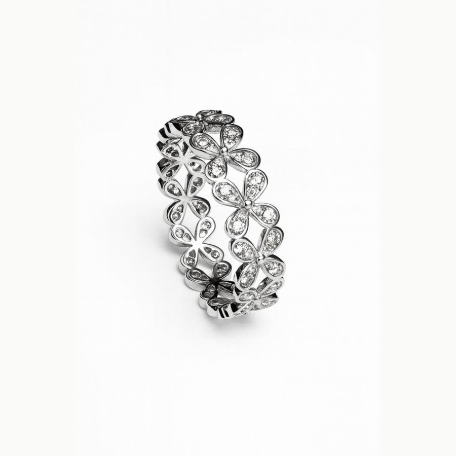 Anillo Van