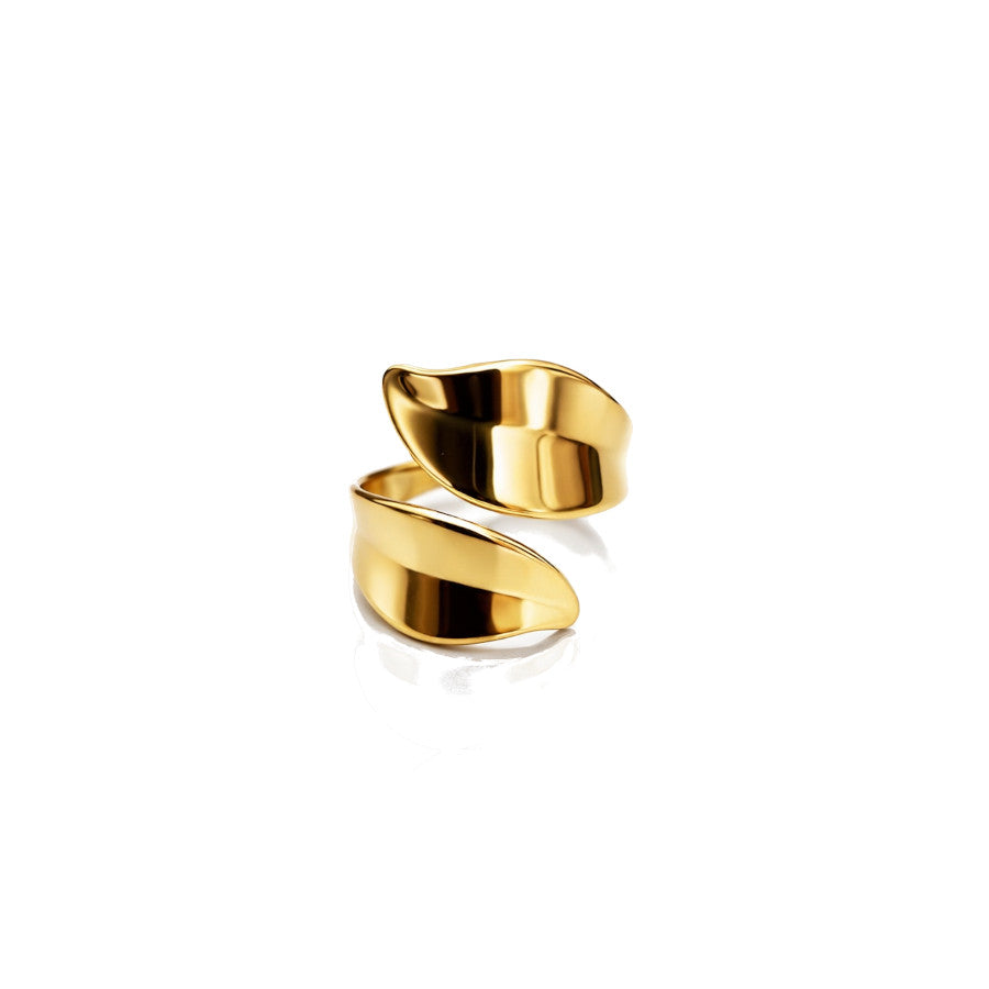 Anillo Namibia