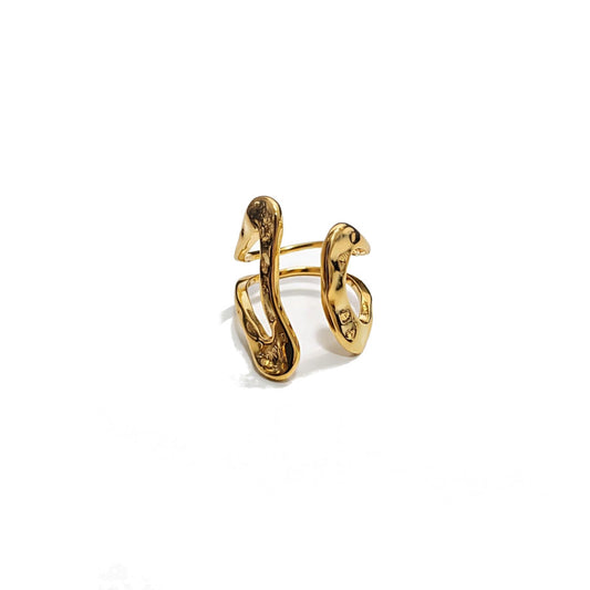 Anillo Zambia