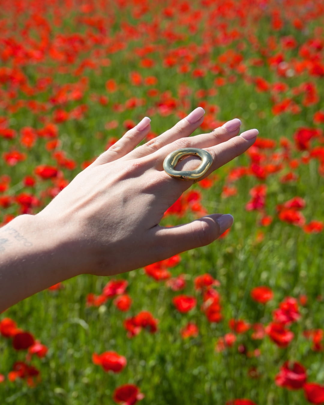 Burma Ring